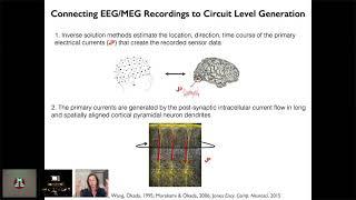 CuttingEEG2021 Stephanie Jones. Mechanisms and Meaning Event Related EEG signals with HNN software