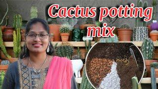 #Shemasundar #CactuspottingmixinTamil #cactusnurseryincoimbtore#cactuscareintamil#tipsforcactus