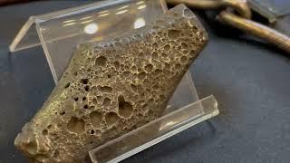 Фартовый коллекционер в Харьковском историческом музее