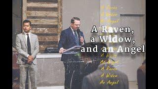 A Raven, a Widow, and an Angel - Pastor Stephen Collins // 111322am