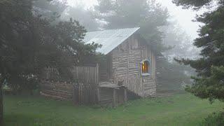 Staying on a rainy and foggy day in the log cabin I abandoned 10 years ago