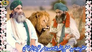 peer o murshid status