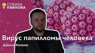 Вирус папилломы человека -Данила Коннов//рак шейки матки, вакцинация от ВПЧ, девятивалентная вакцина