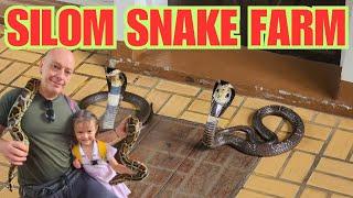 Bangkok Snake Farm Adventure: Venomous Encounters!