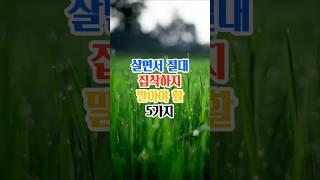 살면서 절대 집착하지말아야할 5가지#명언#인생조언#좋은글#지혜#긍정적마인드