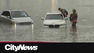 ON CAM: Drivers rescued from stranded cars on flooded DVP