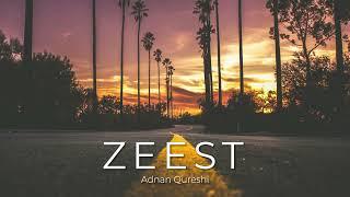 ZEEST | ADNAN QURESHI feat. ISHA QURESHI | VISUALISER