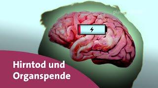 Was ist der Hirntod? - Frage trifft Antwort | planet schule