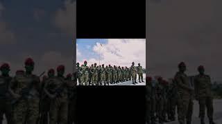 Zehabesha Daily News|Zehabesha News Today|Zehabesha News|Abel Birhanu News|Naod Tube News|Ethio News