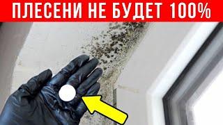 1 ТАБЛЕТКА и ЧЕРНОЙ ПЛЕСЕНИ на окнах не будет НИКОГДА