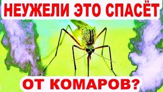 Защита от комаров. Как работает отпугиватель комаров из трутовика и спирали?