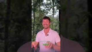 Как убрать жор за 5 минут