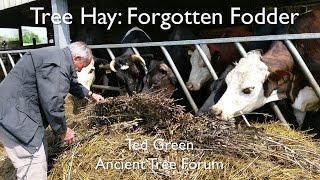 Tree Hay: A forgotten fodder