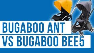 Bugaboo Ant vs Bee5 Stroller at Magic Beans | Best Lightweight Travel Comparison 2019