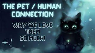 Spiritual Companions - Our our pets telepathic?