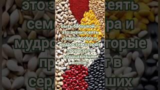 Сеять семена #цитаты #мудрость #бабушка #внучата