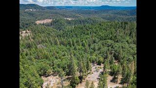 16856 Red Dog Rd Nevada City, Ca Real Estate - Branded