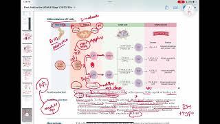 Differentiation of T cells #immunology 12 | First Aid USMLE Step 1 in Urdu/Hindi |