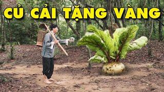 CỔ TÍCH VIỆT NAM MỚI 2024 | CỦ CẢI TẶNG VÀNG | CỔ TÍCH VIỆT NAM MỚI 2024 | CỔ TÍCH NƯỚC NAM MỚI