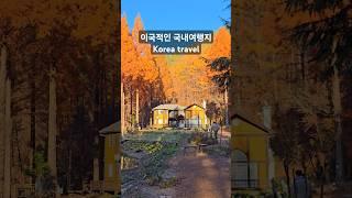 드라마에 나온 외국같은 국내여행지, 가을 여행지 추천 | Korea travel