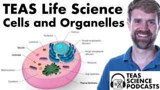 TEAS Life Science: Cells and Organelles Podcast