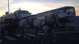 Victoria carriage tours tandem