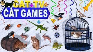 CAT GAMES | BEST VIDEO FOR CATS TO WATCH – ULTIMATE ENTERTAINMENT FOR FELINE FRIENDS  CAT TV 4K