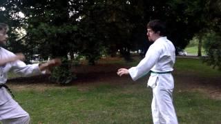 Danzan Ryu Blue belt requirements demo.