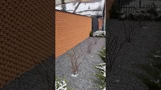 Уникальный забор #забор #строительство