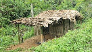 15 days of building a bamboo house - bamboo bed - a full and hungry life for mother and child