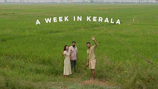 A week in Kerala: family, food & exploration 