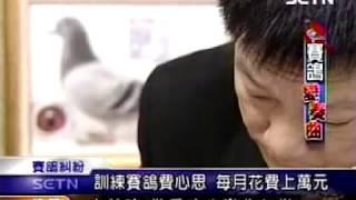 2001.11.25三立電視台專訪帝王鴿舍 康炳堯