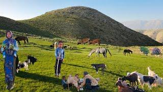 Nomadic Life: The Dreams of Bold Nomadic Girls | Nomadic Girls’ Survival Skills 
