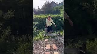 Лучшее удобрение из сорняков #сад#огород #садовод #садоводство #удобрение
