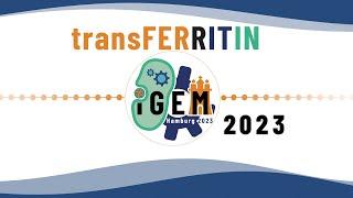 iGEM Hamburg - Project Promotion 2023 - transFERRITIN