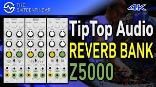 TipTop Audio Z5000 REVERB Effect Bank Sound Demo