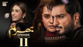 Bharam Episode 11 | Hina Tariq | Rabya Kulsoom | Omer Shahzad | 11 Dec 2024 | (Eng Sub) ARY Digital