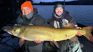 Giant November Sunset Musky!!