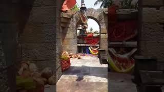 Vlog-:Chausathi yogini temple/Bhunaneswar,Hirapur ,odisha/@tws-29 #vlog #travel #trending #viral