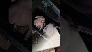 kukuКУХНЯ. Курочка горячего КоПчЕнИя. #shortsvideo #shortvideo #shorts #short