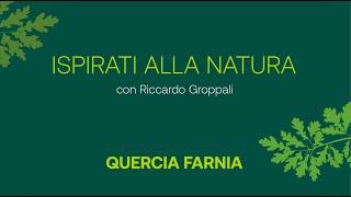 GRUPPO SAVIOLA | Ispirati alla Natura: La Quercia Farnia con Riccardo Groppali