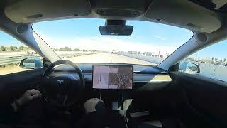 It Shouldn't Be Alive': Tesla FSD Survives Scenario That Would Crash Most Self-Driving Cars