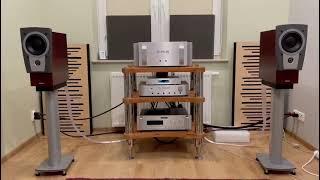 Audio Research CD6, Plinius SA 103, Dynaudio C1, Nordost Frey.