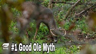 #1 Deer Hunting Myth Destroyed