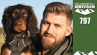 Fieldsports Britain – Pocket rocket gundogs