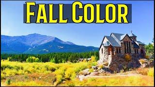 Best Fall Foliage | Colorado | Our Favorite Fall Colors | S5:E4