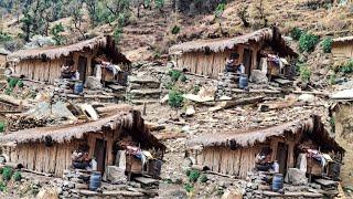 This is Himalayan Very Peaceful Nepali Village Lifestyle | Organic Food Cooking in Countryside