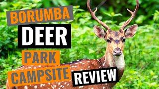 Borumba Deer Park || Imbil || Queensland || Campsite Review + Imbil State Forest 4x4