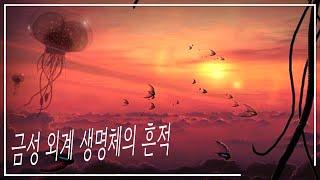 그 너머의 삶: 금성에서 발견한 외계 생명체의 신비한 흔적 | 우주 다큐멘터리