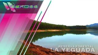 RESERVA FORESTAL LA YEGUADA - VERAGUAS